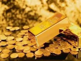 दुबईबाट आएका एक जना यात्रुको साथमा एक किलो ३०० ग्राम सुन बरामद