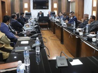 कुलमानको आरोप:  इन्जिनियरलाई काम दिन्छु भन्दा सरकारले दिएन